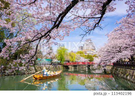 満開の桜と姫路城 113402196