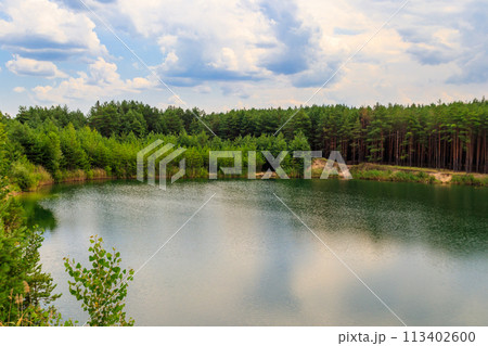 View of a beautiful lake in a pine forest at summer View of a beautiful lake in a pine forest at summer 113402600