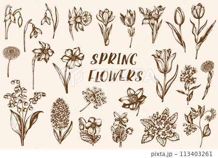 Set of vintage spring flowers 113403261