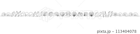 Tropical underwater shells continuous one line illustration. Sea shells, mollusks, scallop, pearls. Vector minimalist linear illustration. 113404078