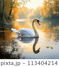 Serene River Scene with Graceful Swan 113404214