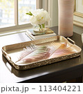 Astonishing Wallpaper Feathery Flair 113404221