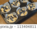 庭で採れたフレッシュなブルーベーリーでブルーベリーマフィンを手作り 113404811