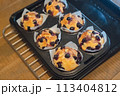 庭で採れたフレッシュなブルーベーリーで家庭で手作りしたブルーベリーマフィン 113404812