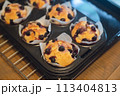 庭で採れたフレッシュなブルーベーリーで家庭で手作りしたブルーベリーマフィン 113404813