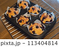 庭で採れたフレッシュなブルーベーリーで家庭で手作りしたブルーベリーマフィン 113404814