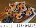 庭で採れたフレッシュなブルーベーリーで家庭で手作りしたブルーベリーマフィン 113404817