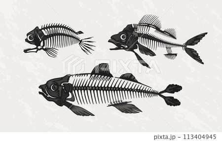 Fish skeleton. Bass bone skull logo with fin, vintage fauna monochrome black silhouette art of retro water animal. Underwater creature. Marine fishbone. Vector isolated design 113404945