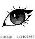 vector of japanese sushi 113405269