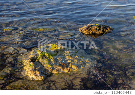 Calm sea at Spiaggia Sibilliana, West Sicily, Italy 113405448