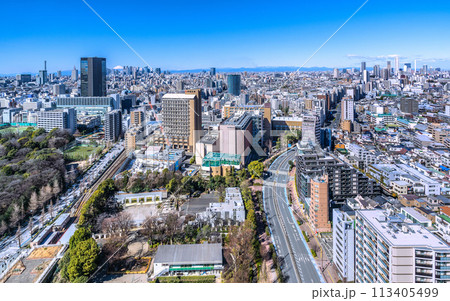 日本の東京都市景観 山々が見える珍景…青空が広がる池袋や新宿、東京都庁、富士山などを望む 113405499
