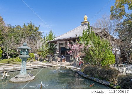 【第1番札所】霊山寺　大師堂【四国八十八箇所】 113405657