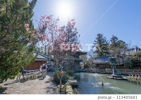 【第1番札所】春の霊山寺【四国八十八箇所】 【第1番札所】春の霊山寺【四国八十八箇所】 113405681