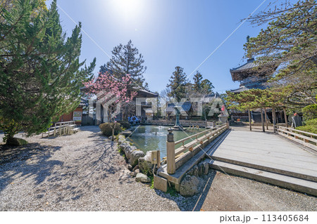 【第1番札所】春の霊山寺【四国八十八箇所】 【第1番札所】春の霊山寺【四国八十八箇所】 113405684