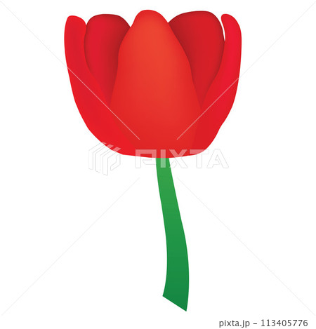 Beautiful red tulip twig with tulip blooming 113405776
