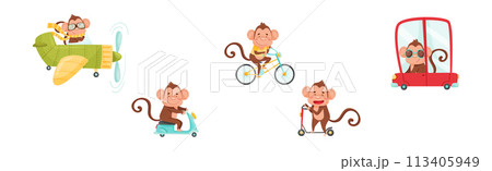 Cute Monkey Driving and Riding Transport Vector Set 113405949