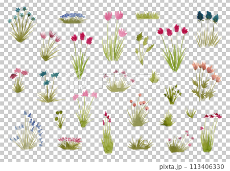 Big set of botanical floral elements. Branches, leaves, herbs, wild plants, flowers. Garden, meadow, field collection of leaves, foliage, branches. Bloom watercolor illustration 113406330