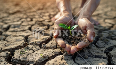 World Day to Combat Desertification and Drought, June 17. Cupped hands care for sprouting seedling, contrasted with arid ground 113406453