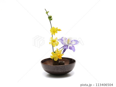 食器に活けたオダマキとオウバイモドキと水仙 113406504