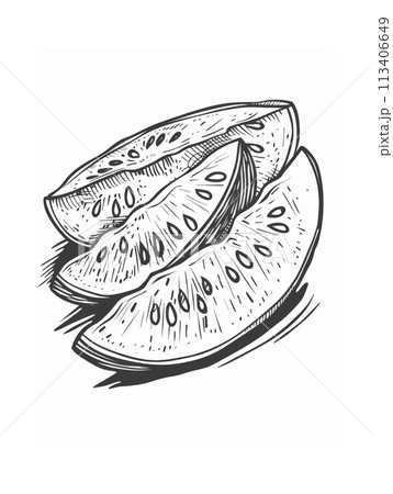 Hand-Drawn Watermelon Slices in Vintage Style on White Background for Menu, Recipe, and Decor 113406649