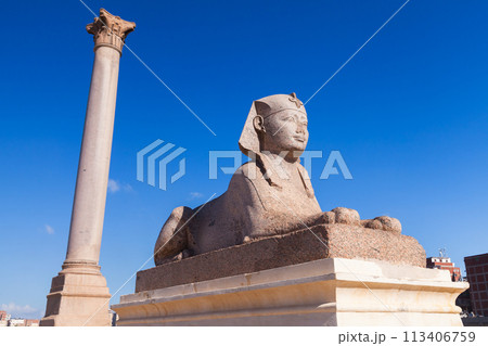 Ancient stone sphinx statue with Pompeys Pillar on a background 113406759