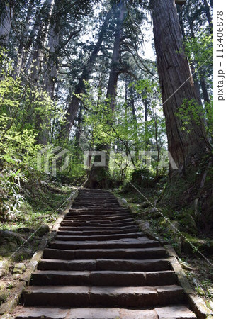 羽黒山の石段 2446段は神社で日本一 羽黒山の石段 2446段は神社で日本一 113406878