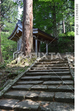 羽黒山の石段 2446段は神社で日本一 羽黒山の石段 2446段は神社で日本一 113406880
