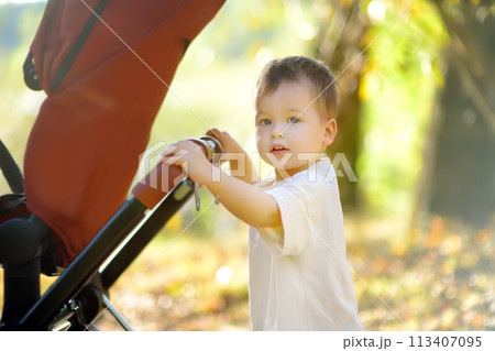 Beautiful toddler boy playing with his stroller walking outdoors at the warm autumn day Beautiful toddler boy playing with his stroller walking outdoors at the warm autumn day 113407095