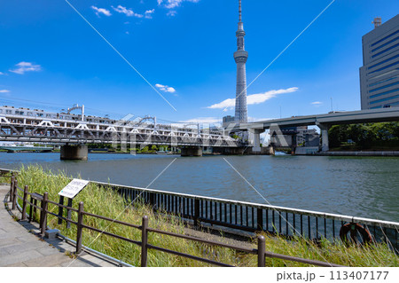 スカイツリー スカイツリー 113407177