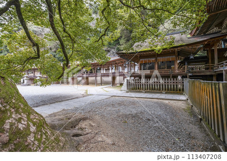 金刀比羅宮(香川県)南渡殿、直所 金刀比羅宮(香川県)南渡殿、直所 113407208