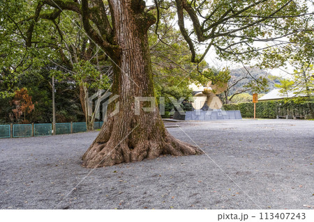 金刀比羅宮(香川県)境内 金刀比羅宮(香川県)境内 113407243