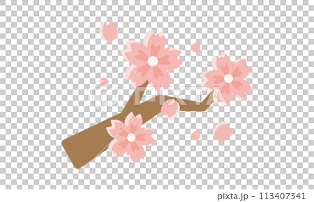 櫻花和樹枝 113407341