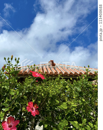めんそーれ沖縄 青い空と赤いハイビスカスとシーサー めんそーれ沖縄 青い空と赤いハイビスカスとシーサー 113408688
