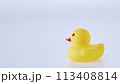 Yellow rubber ducks on a white background 113408814