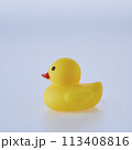 Five Yellow rubber ducks on a white background 113408816