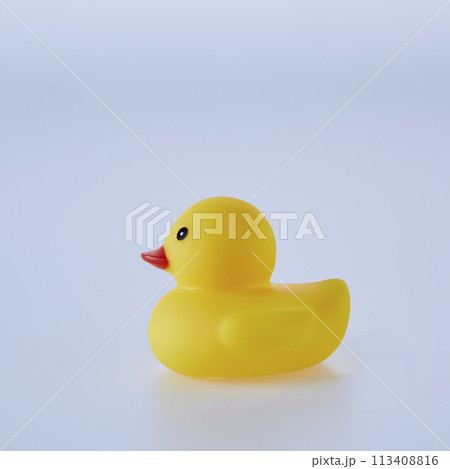 Five Yellow rubber ducks on a white background Five Yellow rubber ducks on a white background 113408816