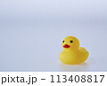 Five Yellow rubber ducks on a white background 113408817