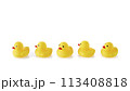 Five Yellow rubber ducks on a white background 113408818