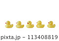 Five Yellow rubber ducks on a white background 113408819