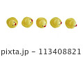 Five Yellow rubber ducks on a white background 113408821