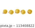 Five Yellow rubber ducks on a white background 113408822