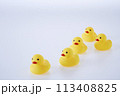 Five Yellow rubber ducks on a white background 113408825