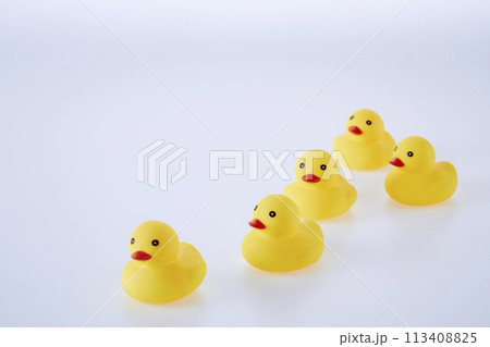 Five Yellow rubber ducks on a white background Five Yellow rubber ducks on a white background 113408825