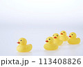 Five Yellow rubber ducks on a white background 113408826