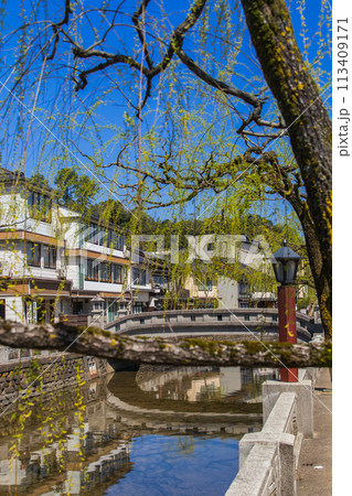 城崎温泉~柳湯橋~(兵庫県-城崎温泉) 城崎温泉~柳湯橋~(兵庫県-城崎温泉) 113409171