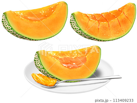 メロン カット オレンジ色 切り込み 皿 スプーン 113409233