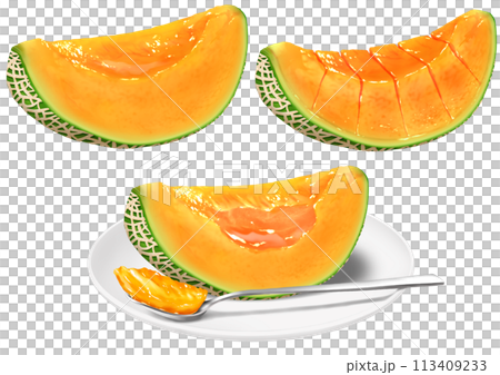 メロン カット オレンジ色 切り込み 皿 スプーン 113409233