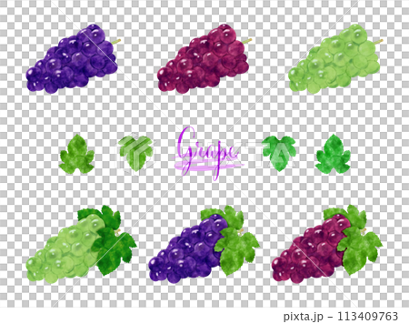 水彩で描いたぶどうのイラストセット 113409763