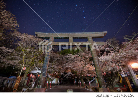 鬼怒川温泉　護国神社の桜（夜、星空） 113410156