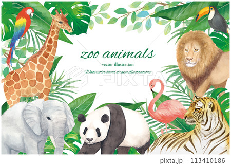 水彩手書きの動物園の背景イラストフレーム素材 113410186